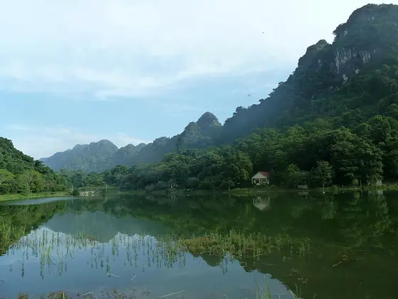 Cuc Phuong National Park (Vườn quốc gia Cúc Phương)